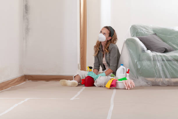 Reliable Basement Mold Removal contractor in Mount Freedom, NJ by WQB Mold Removal